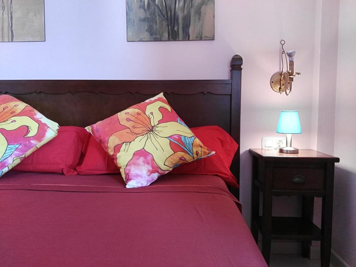 Small&Sunny Wifi Premium Vivienda Vacacional 科拉雷侯 外观 照片